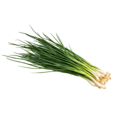 Spring Onion